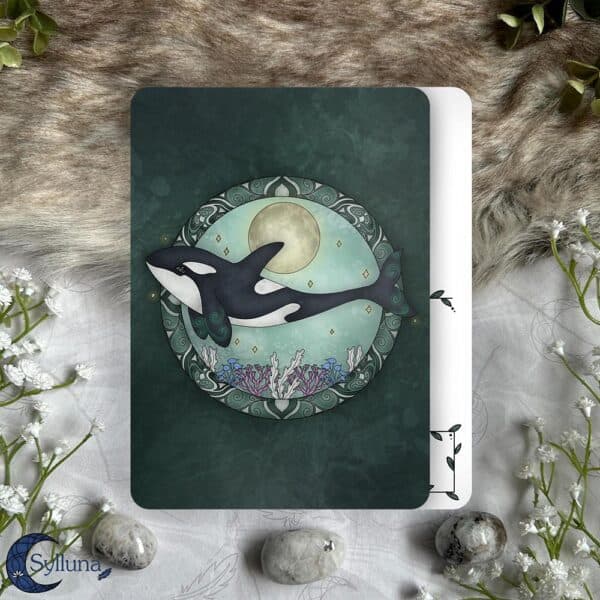 Ansichtkaart-A6 Print- Magie van de Orka Killer Whale- Sylluna