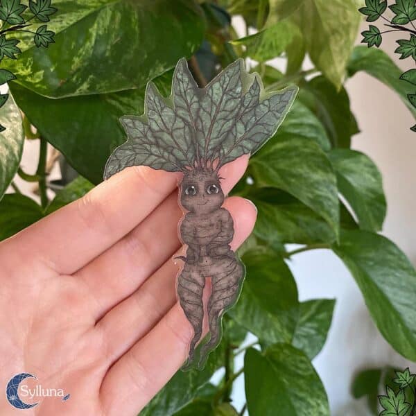 Mandrake Mandragora Wezentje- Vinyl Sticker Transparant-Sylluna 2